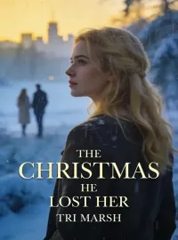 The Christmas He Lost Her Novel Cover