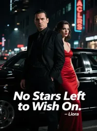 No Stars Left to Wish On Novel Cover