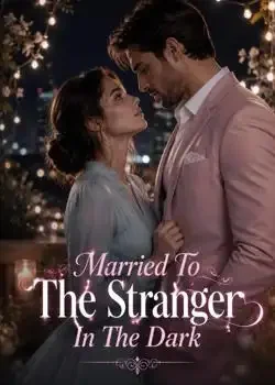 Married To The Stranger In The Dark Novel Cover