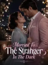Married To The Stranger In The Dark Novel Cover