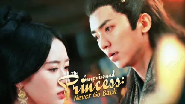 The Imprisoned Princess: Never Go Back: The Heartbreaking Redemption