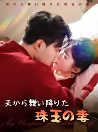 天から舞い降りた珠玉の妻