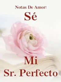 Portada de la novela Notas De Amor: Sé Mi Sr. Perfecto