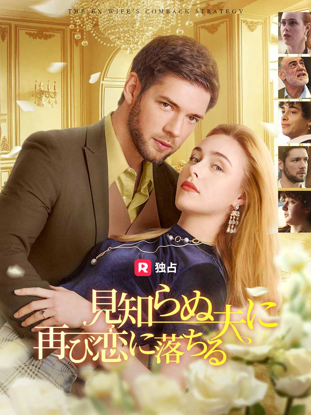 見知らぬ夫に 再び恋に落ちるミニシリーズ