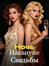 Обложка новеллы Ночь Накануне Свадьбы