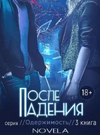 Обложка новеллы Одержимость 2.5: После падения