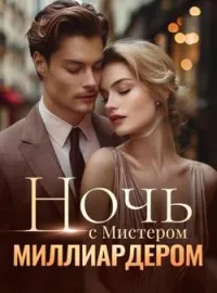 Обложка новеллы Ночь с Мистером Миллиардером
