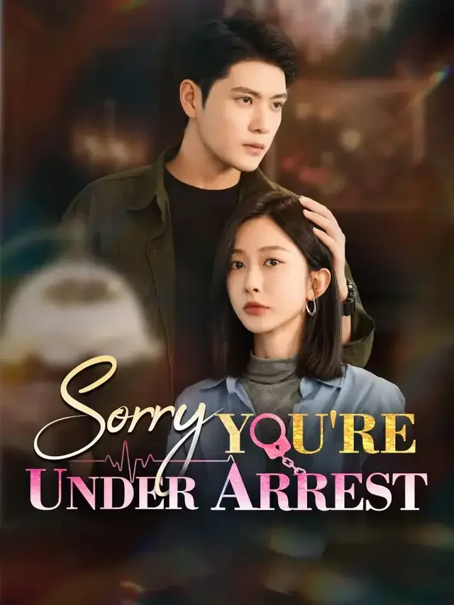 Sorry, You're Under Arrest cover art