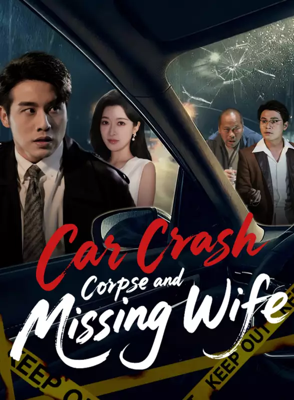 Car Crash Corpse and Missing Wife Mini Series