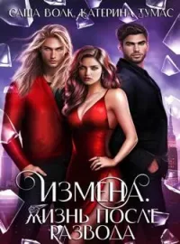 Обложка новеллы Измена. Жизнь после развода