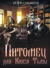 Обложка новеллы Питомец для Князя Тьмы, или Все любят котиков 