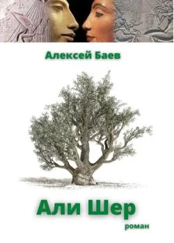 Обложка новеллы Али Шер