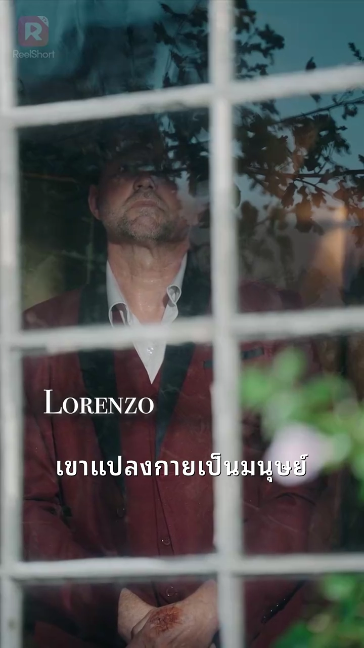 แรงดึงดูดร้ายแรง: เจ้าหญิงลูกผสมรูปภาพ