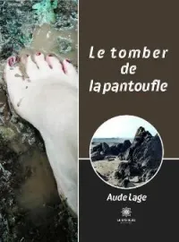 Couverture du roman Le tomber de la pantoufle
