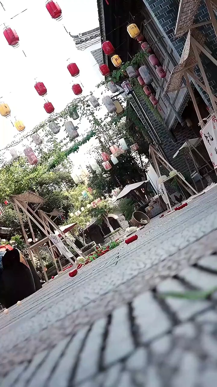 บรรพบุรุษพยายามหน่อยรูปภาพ