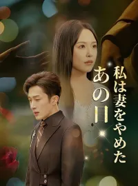 あの日、私は妻をやめた（吹き替え）ミニシリーズ