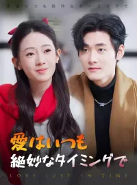 愛はいつも絶妙なタイミングでミニシリーズ