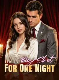 I Paid A Big Shot For One NightMini Series