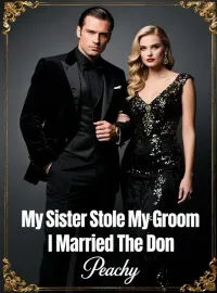 My Sister Stole My Groom I Married The Don Novel Cover