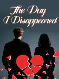 The Day I Disappeared Novel Cover