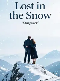 Lost in the Snow Novel Cover