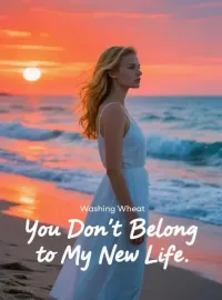 You Don't Belong to My New Life Novel Cover