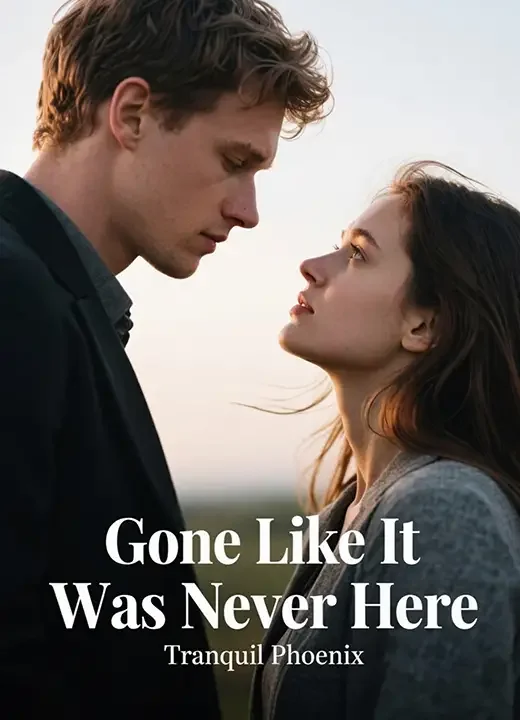 Gone Like It Was Never Here Novel Cover