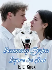 Becoming Perfect Before the End Novel Cover