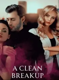 A Clean Breakup Novel Cover
