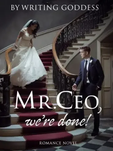 Mr. CEO We're Done! Novel Cover