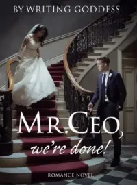 Mr. CEO We're Done! Novel Cover