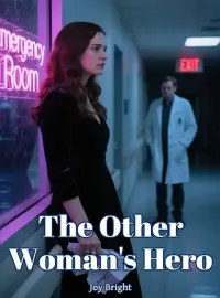 The Other Woman's Hero Novel Cover
