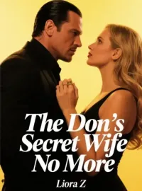 The Don's Secret Wife No More Novel Cover
