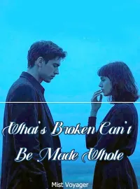What's Broken Can't Be Made Whole Novel Cover