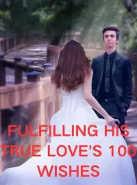 Fulfilling His True Love's 100 Wishes Novel Cover