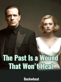The Past Is a Wound That Won't Heal Novel Cover