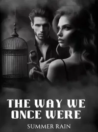The Way We Once Were Novel Cover