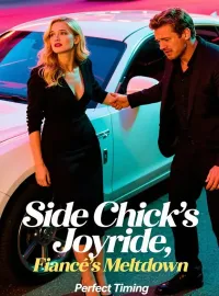 Side Chick's Joyride, Fiancé's Meltdown
Novel Cover