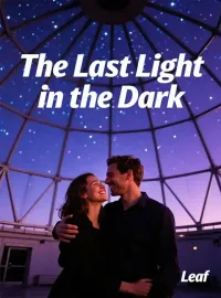The Last Light in the Dark Novel Cover