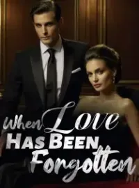 When Love Has Been Forgotten Novel Cover