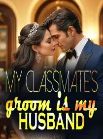 My Classmate's Groom Is My husband Novel Cover