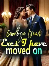 Goodbye Dear Exes, I have moved on Novel Cover