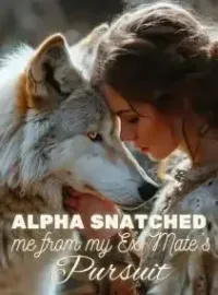 Alpha Snatched Me From My Ex-Mate's Pursuit Novel Cover