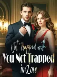 Not Trapped with You, Not Trapped in Love Novel Cover