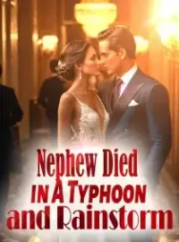 Nephew Died in A Typhoon and Rainstorm Novel Cover