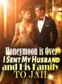 Honeymoon is Over: I Sent My Husband and His Family to Jail Novel Cover
