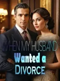 When My Husband Wanted a Divorce Novel Cover