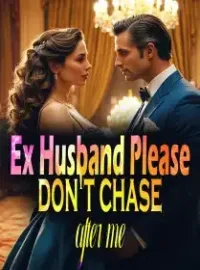Ex Husband, Please don't chase after me Novel Cover