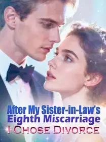 After My Sister-in-Law’s Eighth Miscarriage, I Chose Divorce Novel Cover