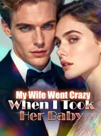 My Wife Went Crazy When I Took Her Baby Novel Cover